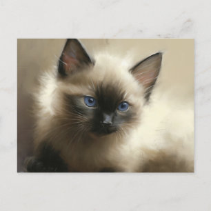 Blick auf Unschuld Siam Kitten Portrait Postkarte