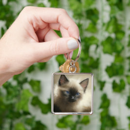 Blick auf Unschuld Siam Kitten Portrait Schlüsselanhänger