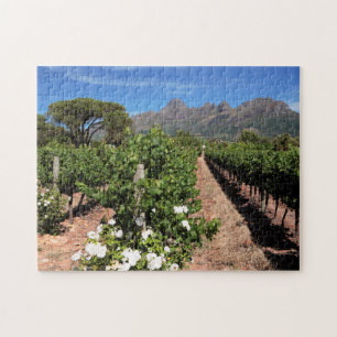 Blick auf Weinberge. Stellenbosch Puzzle