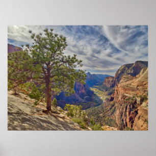 Blick auf Zion Canyon vom Angels Landing Poster