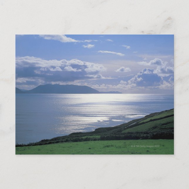 Blick aufs Meer auf eine Rasenfläche Postkarte (Vorderseite)