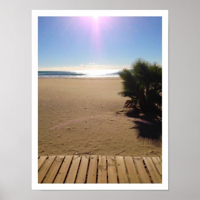 Blick aufs Meer, Strand, Palmenbaum, Boardwalk Poster (Vorne)