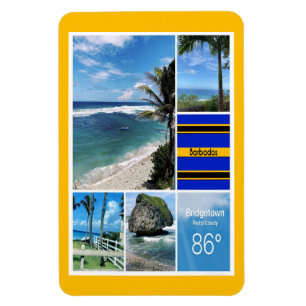Blick aufs Meer von Barbados Magnet