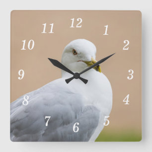 Blick aus der Uhr