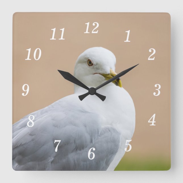 Blick aus der Uhr (Vorderseite)