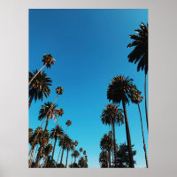 Blick des Wurms auf Bäume