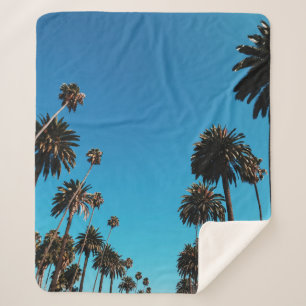 Blick des Wurms auf Bäume Sherpadecke