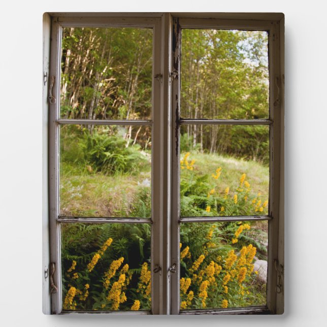 Blick durch altes Fenster Fotoplatte (Vorderseite)