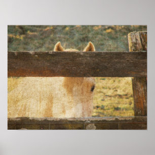 Blick durch den Zaun Poster