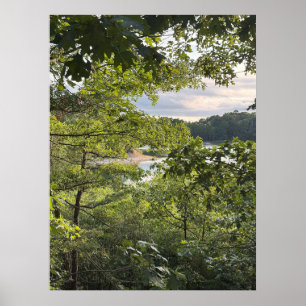 Blick durch die Bäume Poster