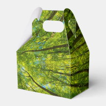 Blick durch grüne Blätter