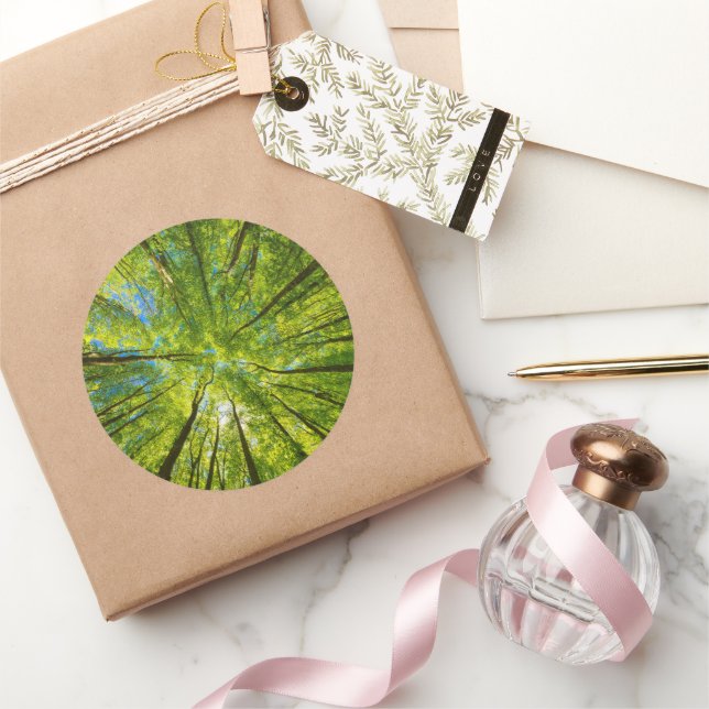 Blick durch grüne Blätter Runder Aufkleber (Schenken)