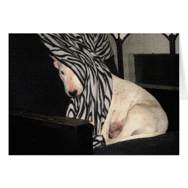 Blick-ein-Tyrann (Vorderseite (Horizontal))