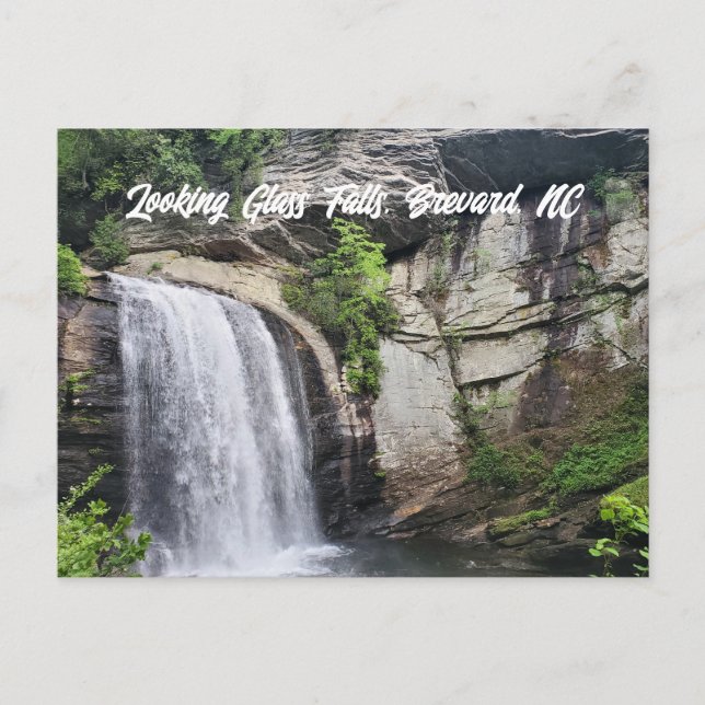 Blick Glass Falls Brevard North Carolina Postkarte (Vorderseite)