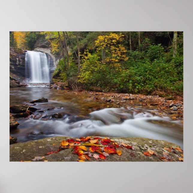 Blick Glass Falls Pisgah National Forest Poster (Vorne)