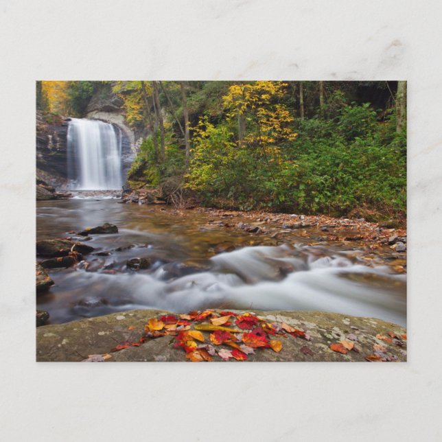 Blick Glass Falls Pisgah National Forest Postkarte (Vorderseite)
