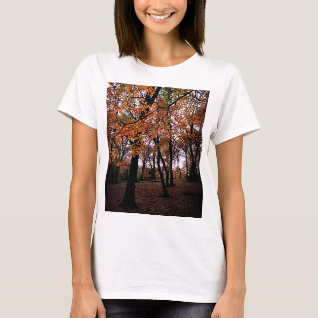 Blick Herbst auf die Bäume T-Shirt (Vorderseite)