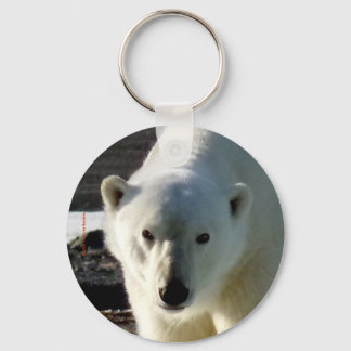Blick in das Auge eines Eisbären Schlüsselanhänger