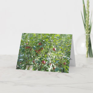 "Blick in den Apfelbaum" - Gratulatorkarte Karte