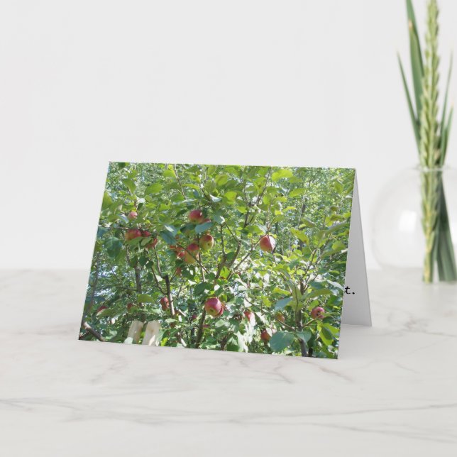 "Blick in den Apfelbaum" - Gratulatorkarte Karte (Vorderseite)