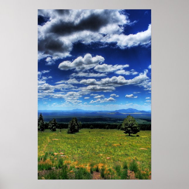 Blick in die Ferne Poster (Vorne)