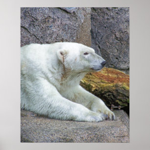 Blick nach Norden Poster