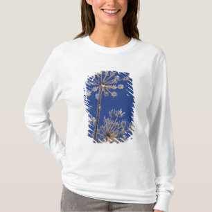 Blick nach oben auf Wiesen-Bärenklau im Winter bed T-Shirt