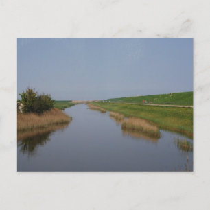 Blick vom Bus Postkarte