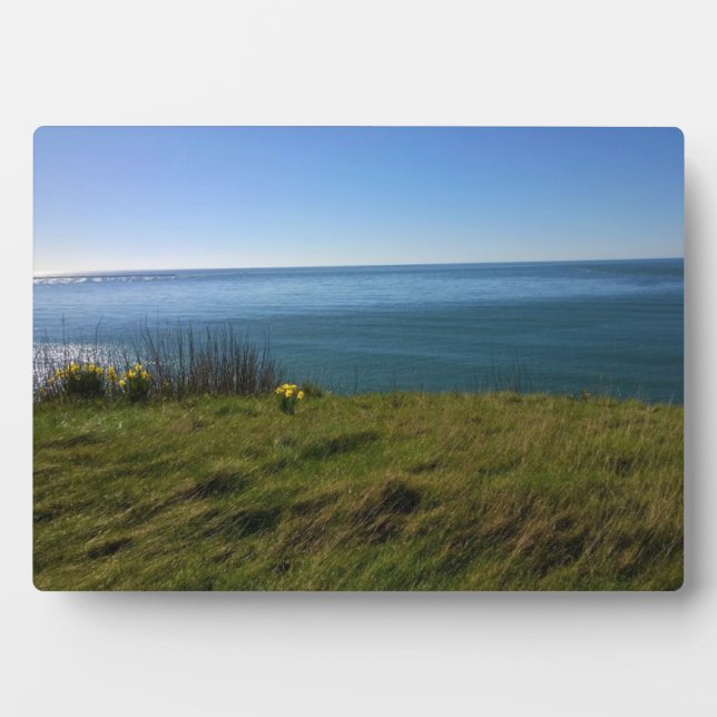 Blick vom Kap Enttäuschung Leuchtturm, WA Fotoplatte (Vorderseite)