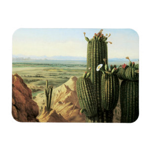 Blick vom Maricopa-Berg in der Nähe des Gila-Fluss Magnet