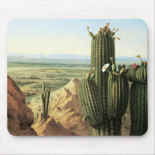 Blick vom Maricopa-Berg in der Nähe des Gila-Fluss Mousepad
