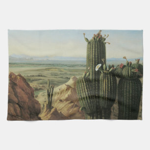 Blick vom Maricopa Mountain bei Rio Gila von Pratt Geschirrtuch