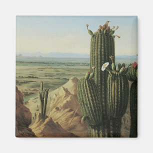 Blick vom Maricopa Mountain bei Rio Gila von Pratt Magnet