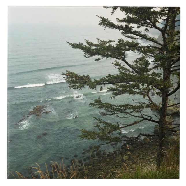 Blick vom Simpson Reef Overlook, Oregon-Küste Fliese (Vorderseite)