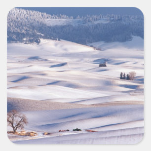 Blick vom Steptoe Butte auf rollende Hügel bedeckt Quadratischer Aufkleber