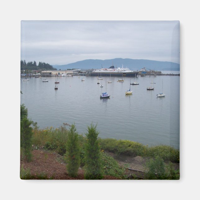 Blick vom Taylor Street Dock Magnet (Vorne)