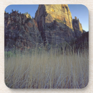 Blick vom Virgin-River-Flussauen, Zion Canyon Untersetzer