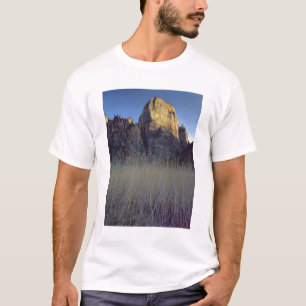 Blick vom Virgin River-Überschwemmungsgebiet, Zion T-Shirt
