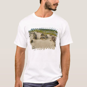 Blick von einem sandigen Hügel auf Seen und Hügel T-Shirt