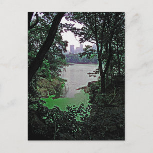 Blick von Ramble-Central Park - Kolorierte Postkar Postkarte