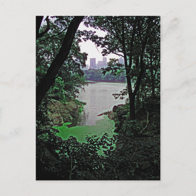 Blick von Ramble-Central Park - Kolorierte Postkar Postkarte (Vorderseite)