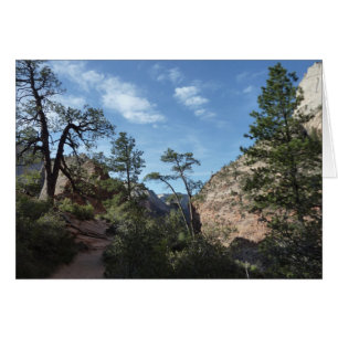 Blick von Scout Lookout auf den Zion Nationalpark
