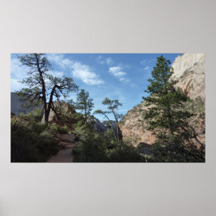 Blick von Scout Lookout auf den Zion Nationalpark Poster