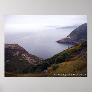 Blick von Signal Hill 1 Poster