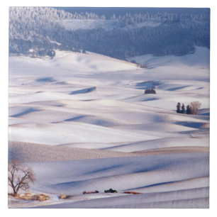Blick von Steptoe Butte von Hügeln überdacht Fliese