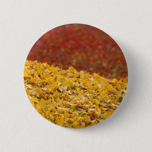 Blicke Herbst Herbstlaub Button (Vorderseite)