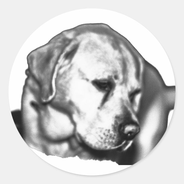 Blickfang Runder Aufkleber (Vorderseite)