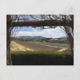 Blickpunkt des Weingartens Postkarte