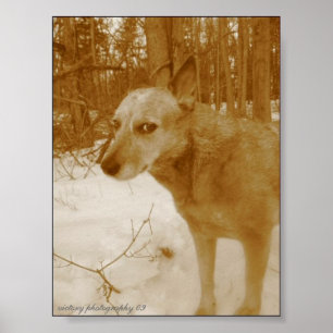 Blicks-Druck Poster