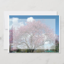 Blindeinladung, Kirschblühen